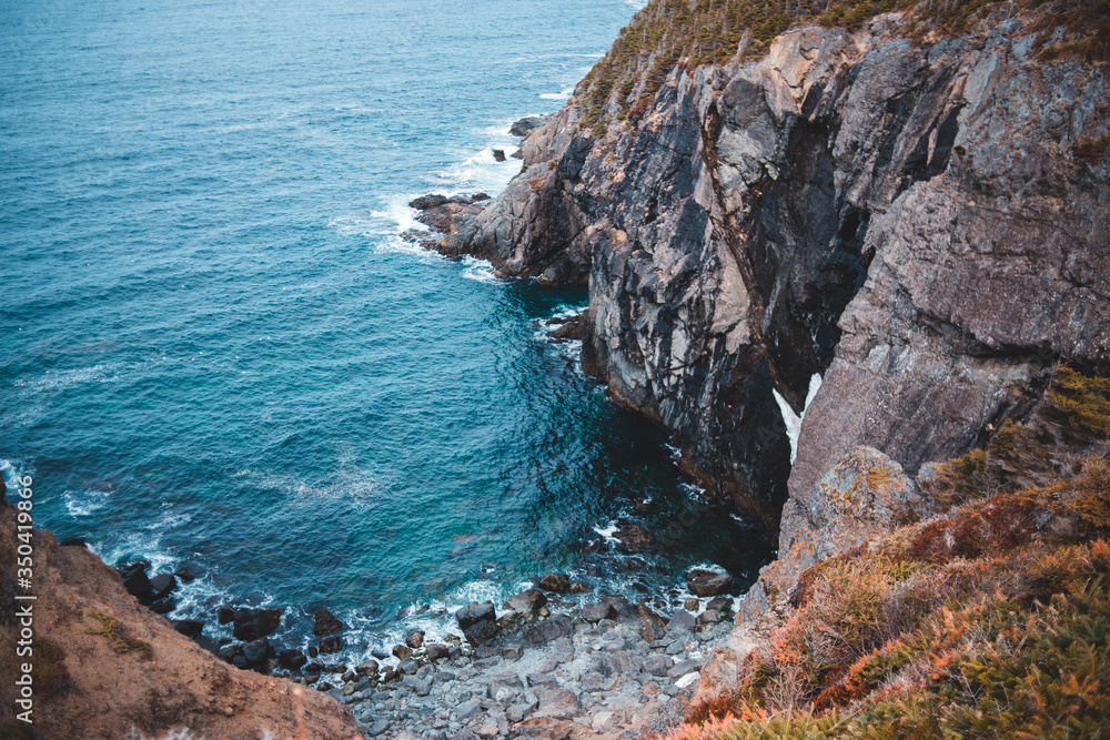 cliffs of newfoundland