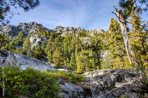 Lake Tahoe wood. Beautiful nature in California