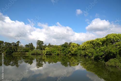 よく晴れた夏空と葉が茂った木々の景色が、鏡のような水面に映り込んでいる風景 © FUJIOKA Yasunari