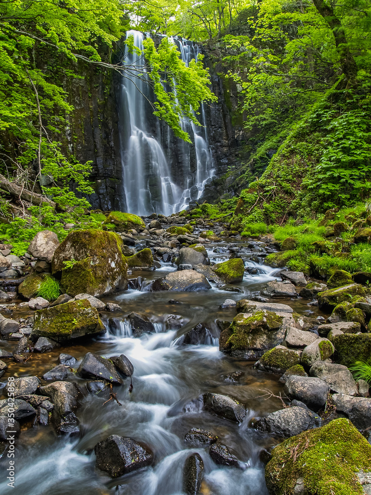 Fototapeta premium 亀田不動滝 秋田県
