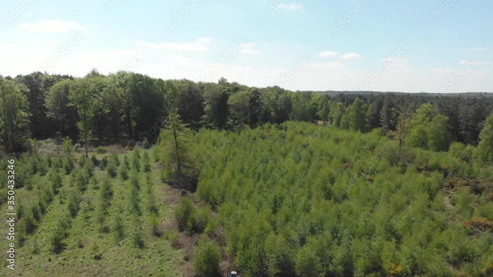 Aerial rotating drone clip over a growing trees and a forest in Thetford, England Aerial rotating drone clip over a growing trees and a forest in Thetford, England