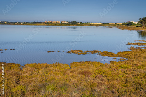 La Mata Lake Nature Reserve near Torrevieja. Alicante province. Spain © alexanderkonsta