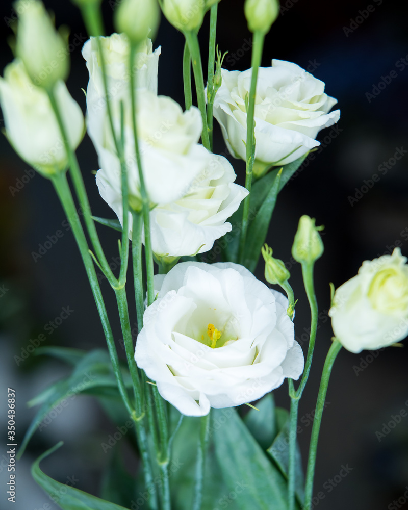Beautiful bouquet of bright and colorful flowers Beautiful bouquet of bright and colorful flowers