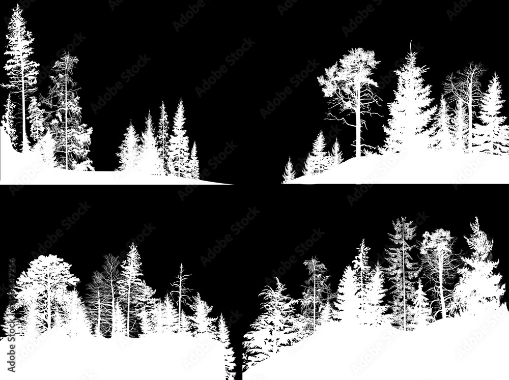 Naklejka four groups of trees set isolated on black