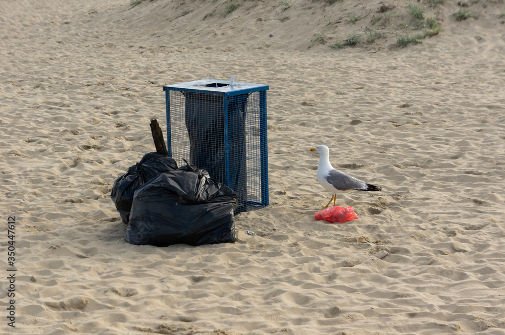 A seagull near trash cans is looking for food.