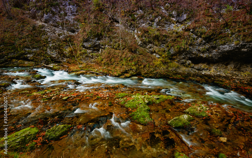 the mountain river descends among the stones and the autumn leaves