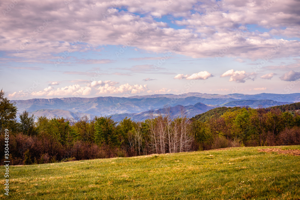 Mountain landscape of meadow and forest and blue mountain range with dramatic sky