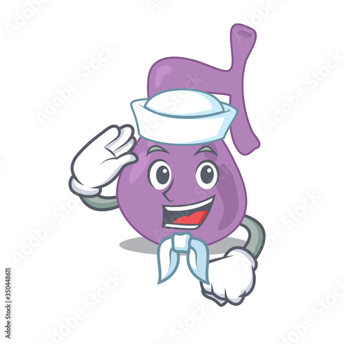 Smiley sailor cartoon character of gall bladder wearing white hat and tie