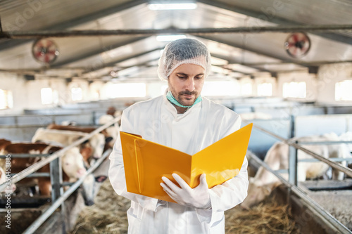 Dedicated unshaven attractive young vet in protective uniform with hair net standing in the barn and looking at test results.
