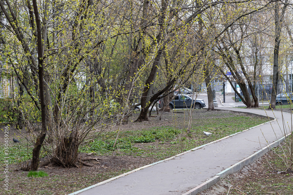 An empty treadmill in the city among the spring greenery of trees and shrubs. People on self-isolation.