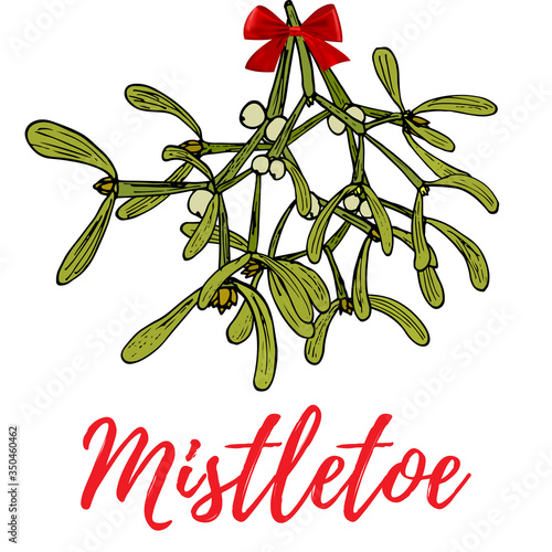 Hand drawn mistletoe sprigs with berries and red bow