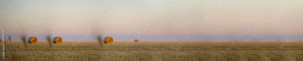 Hay bales in the field