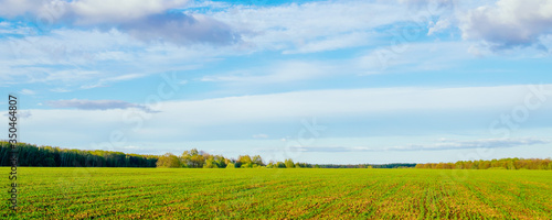 Spring or summer landscape. Field and green forest against a blue sky with clouds