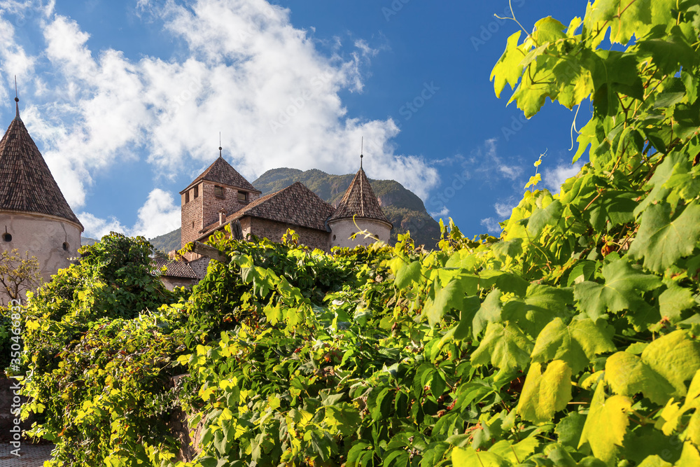 Ancient fortress among vineyards around Bolzano, Italy