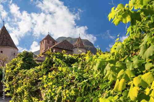 Ancient fortress among vineyards around Bolzano, Italy photo