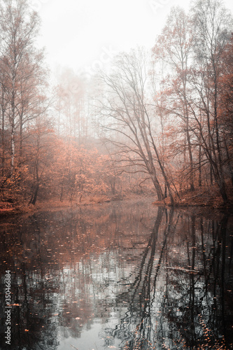 lake in the autumn