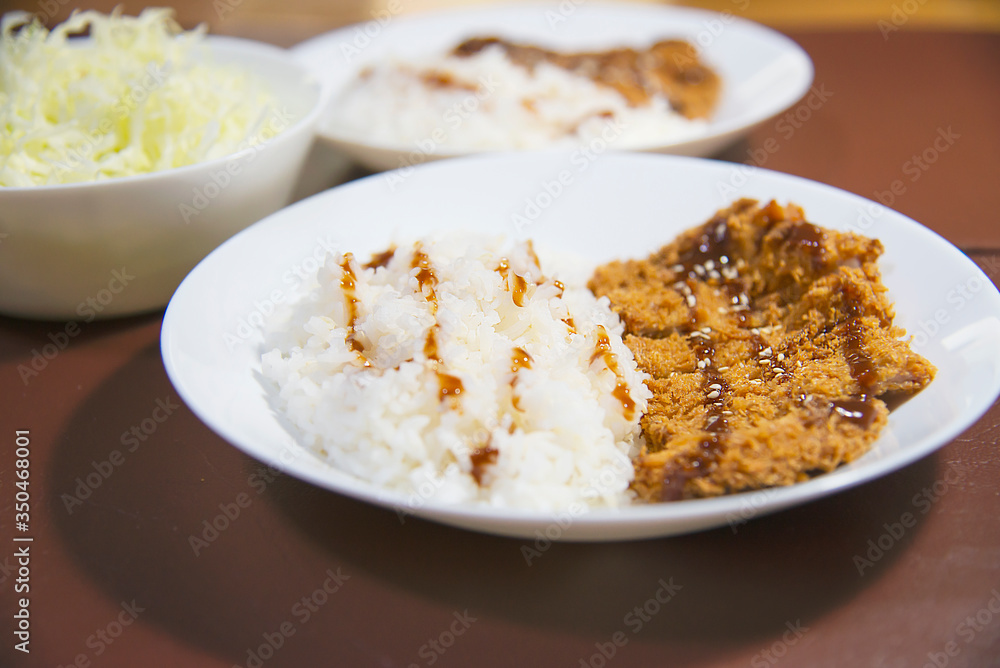 Rice with deep fried pork in Japanese style called Tonkatsu rescipe - Japanese food style rice pork meal background concept Rice with deep fried pork in Japanese style called Tonkatsu rescipe - Japanese food style rice pork meal background concept