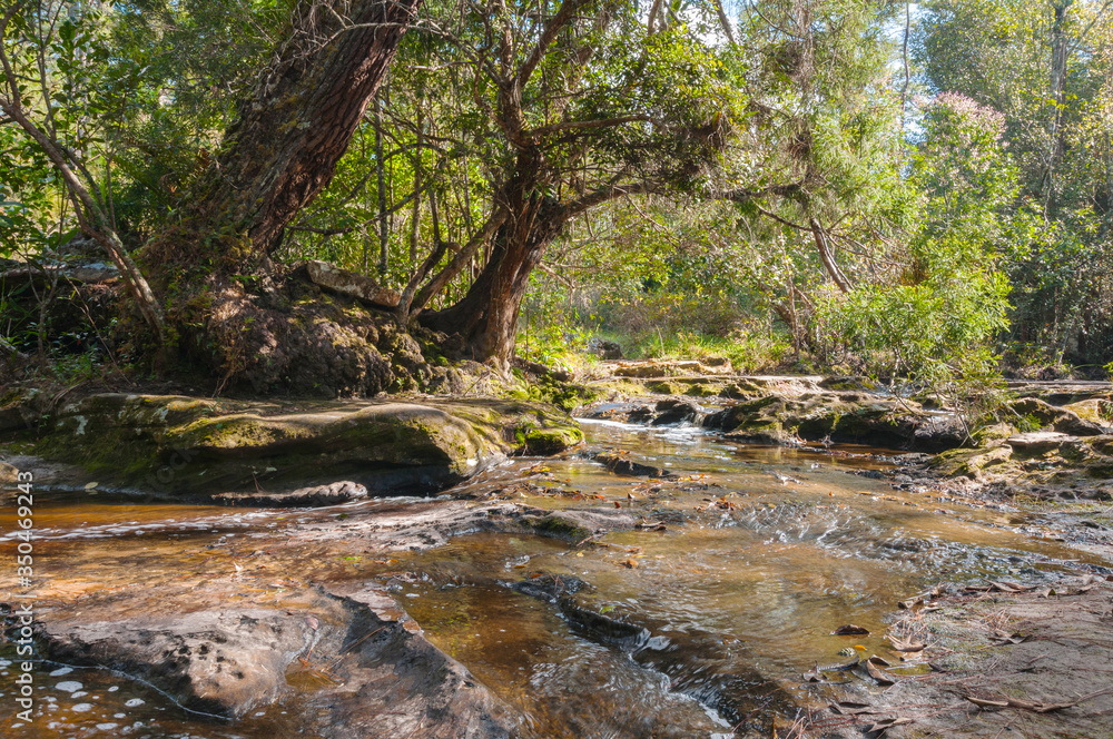 Waterfall in nature park landscape Waterfall in nature park landscape