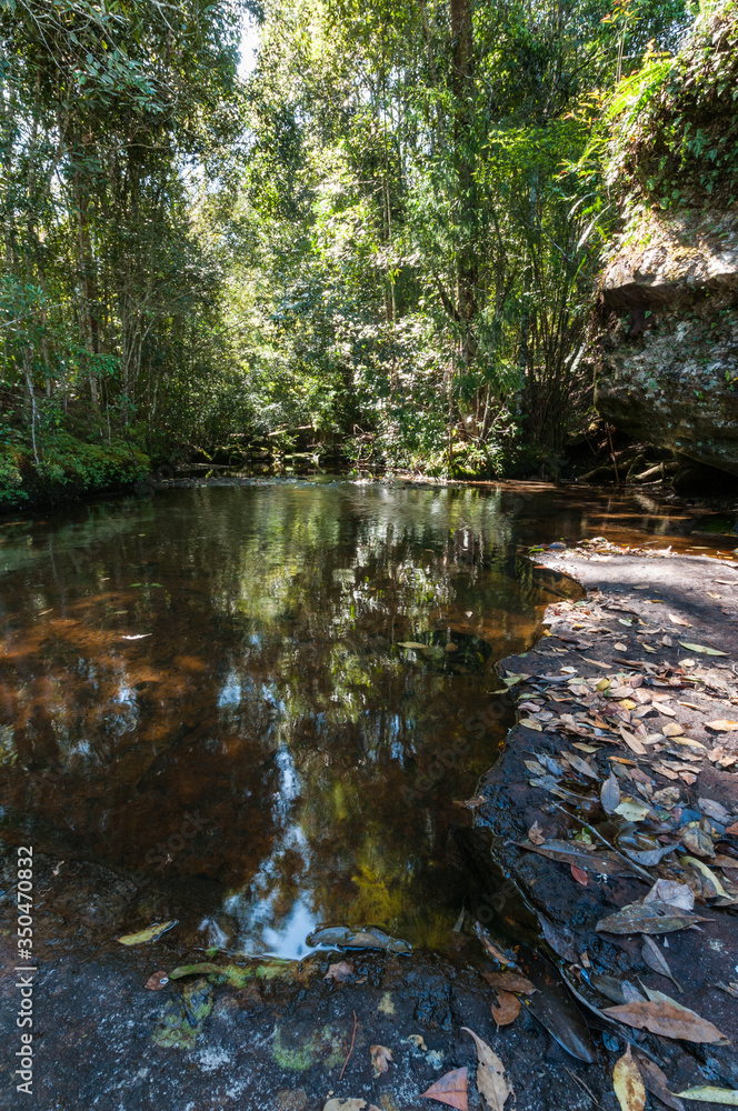 Pond of waterfall in Phu Kradueng National Park Pond of waterfall in Phu Kradueng National Park
