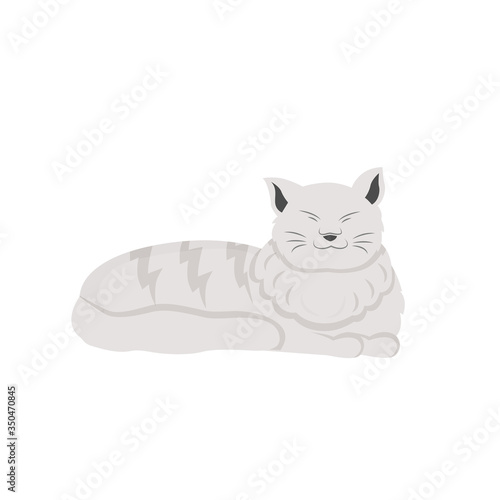 White cat flat color vector character. Domestic animal sleep. Pet sitting and daycare. Grooming for kitten. British shorthair isolated cartoon illustration for web graphic design and animation