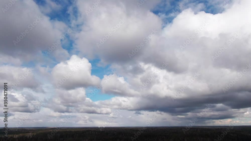 Tilt down nordic forest with trees and cloudy sky Tilt down nordic forest with trees and cloudy sky