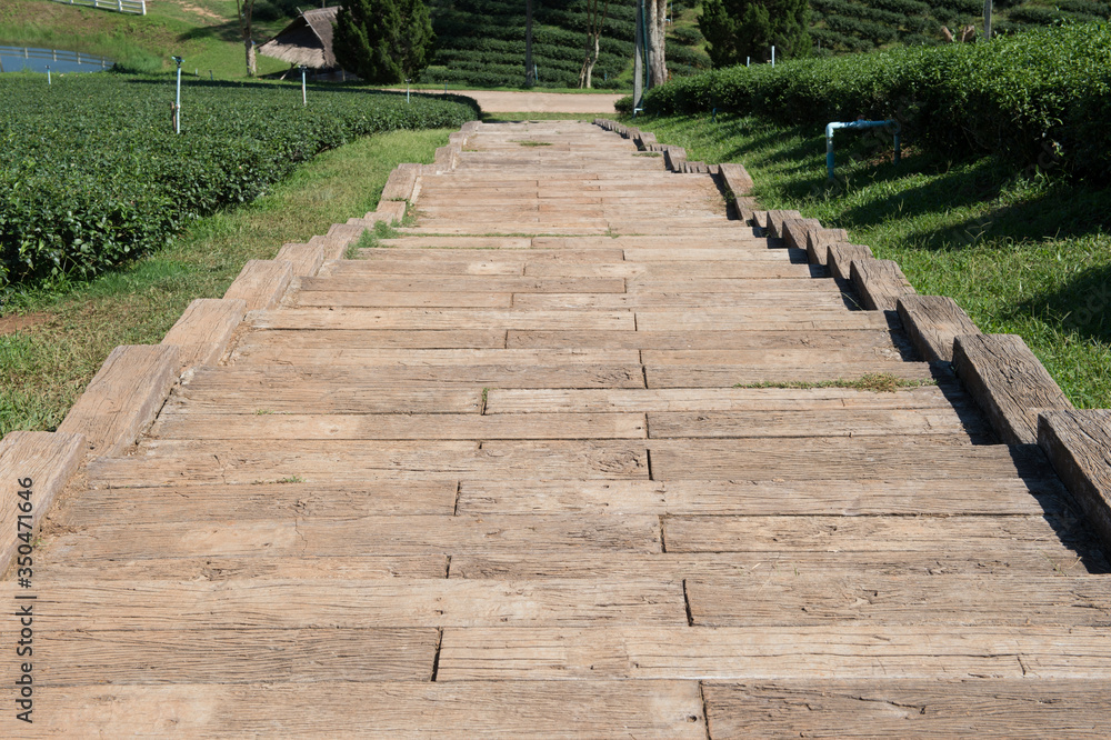 stair design in tea garden