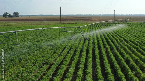 Watering a cotton field, Burleson County, Texas, USA photo