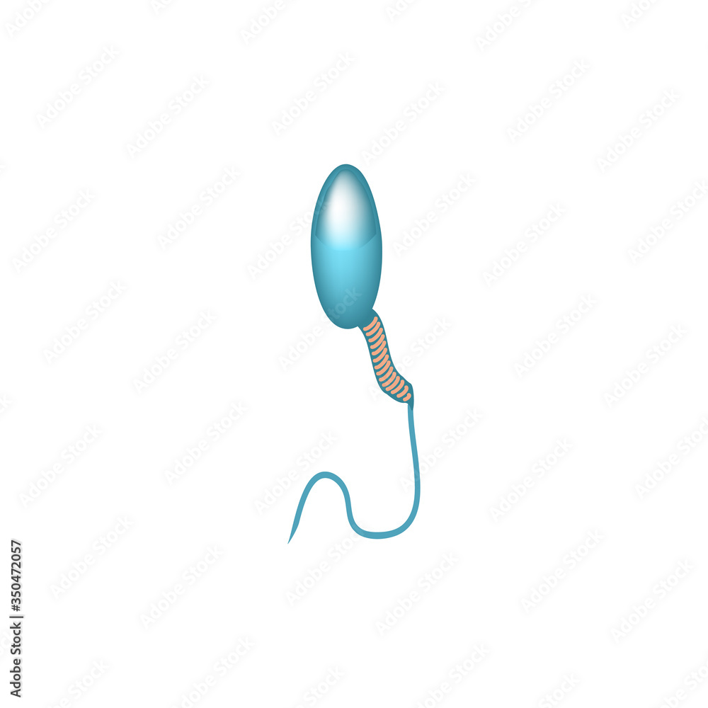 Pathological forms of sperm in the ejaculate. Male infertility Oligospermia. Spermogram. Sperm defects. Infographics. Vector illustration on isolated background. Pathological forms of sperm in the ejaculate. Male infertility Oligospermia. Spermogram. Sperm defects. Infographics. Vector illustration on isolated background.