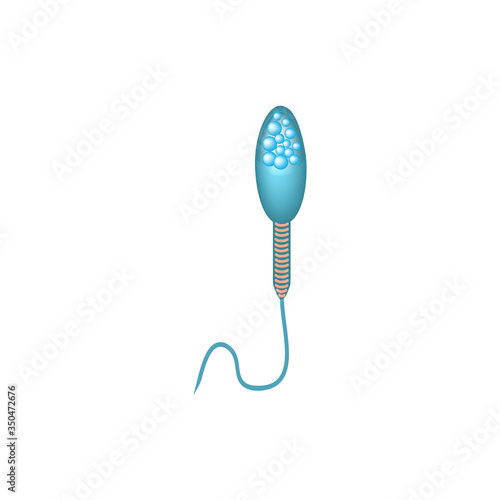 Pathological forms of sperm in the ejaculate. Male infertility Oligospermia. Spermogram. Sperm defects. Infographics. Vector illustration on isolated background.