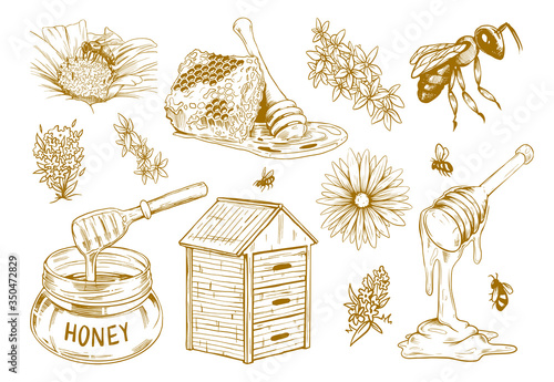 Hand drawn honey flat sketch set. Vintage design elements for flyers with bees, honeycomb and flowers isolated vector illustration collection. Organic food and natural product concept