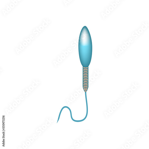 Pathological forms of sperm in the ejaculate. Male infertility Oligospermia. Spermogram. Sperm defects. Infographics. Vector illustration on isolated background.
