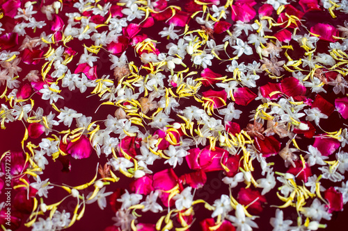 Abstract background of petal flower float on water