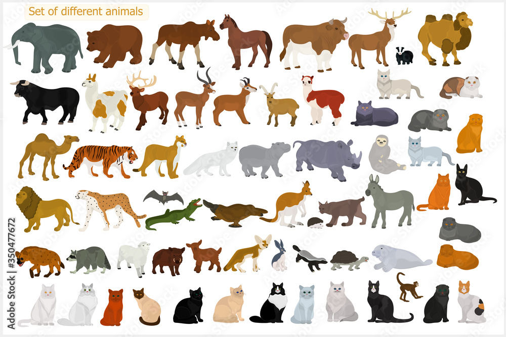 Set of different animals. Wild animals. Domestic cats. Stock Vector | Adobe  Stock