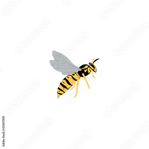 Wasp icon. Bee icon. Honey bee or wasp. Insect color wasp. A stinging insect. Flat design. Vector