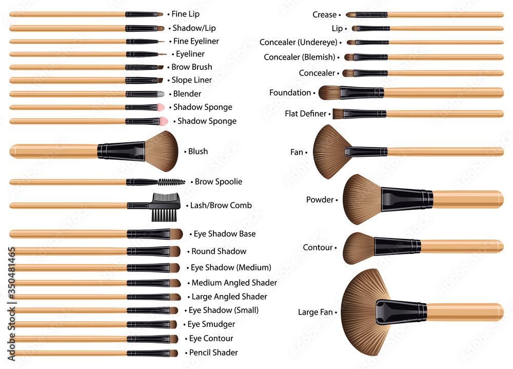 A set of brushes for makeup. 32 brushes with names. Brown hair. Stock  Vector | Adobe Stock