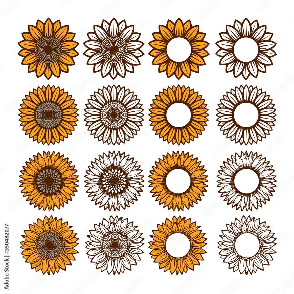 Sunflower Sunflower