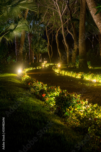 Lighted tropical path at night