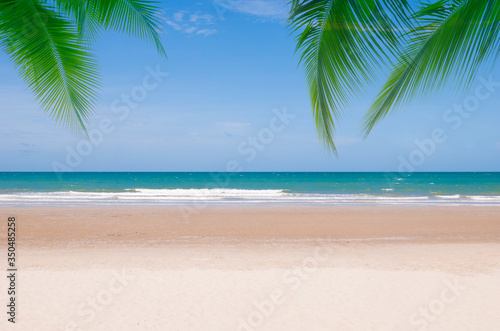 Coconut tree leaf on the tropical beach with space for text   summer holiday  vacation weekend or relax  summer mid year sale concept 