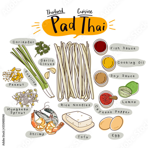 Pad Thai with Ingredients Set. Thailand Cuisine Recipe Illustration.