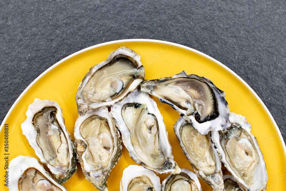 Fresh oysters ready to be eaten raw. Oysters on a yellow plate and a black stone. Raw fish with oysters, luxurious dinner and quality fresh shellfish. Restaurant special dish Fresh oysters ready to be eaten raw. Oysters on a yellow plate and a black stone. Raw fish with oysters, luxurious dinner and quality fresh shellfish. Restaurant special dish