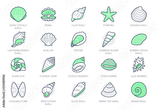 Seashell, oyster, scallop line icons. Vector illustration included icon as nautilus, spiral shell, starfish outline pictogram for beach mollusk infographic. Green color, Editable Stroke
