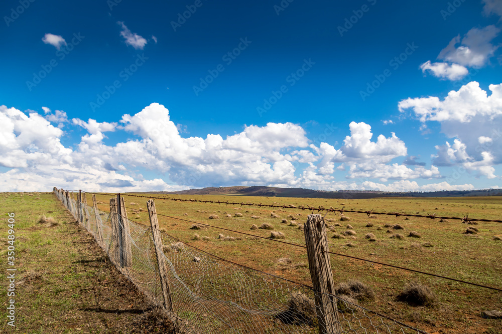 Agriculture landscape in New South Wales, Australia at a cloudy and stormy day in summer.