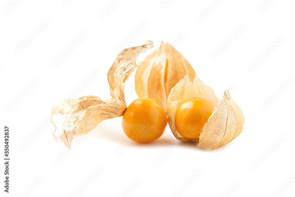 Fresh cape gooseberry isolated over white background - colorful fruit cape gooseberry background concept Fresh cape gooseberry isolated over white background - colorful fruit cape gooseberry background concept