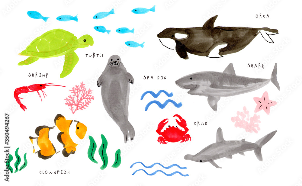 かわいい 海の生き物 手書き イラスト イラスト素材 カラフル 海 動物 手描き ほのぼの ほっこり のんびり ほんわか 水族館 海の中 海洋生物 シャチ ウミガメ エビ サメ アザラシ 仲間 友達 Stock Illustration Adobe Stock