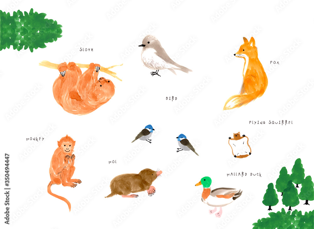 かわいい 動物 手書き イラスト ナマケモノ きつね 鳥 猿 もぐら モモンガ 手描き イラスト 動物 白背景 素材 かわいい ほのぼの ほっこり ほんわか のんびり リラックス 動物園 Stock Illustration Adobe Stock