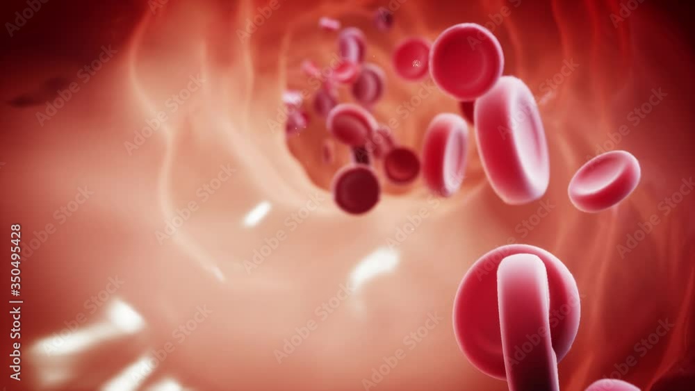 red blood cells streaming red blood cells streaming