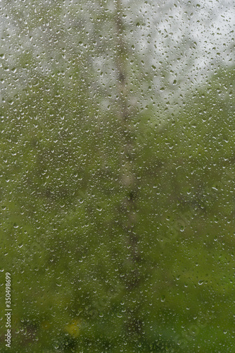 View of birch through window with raindrops