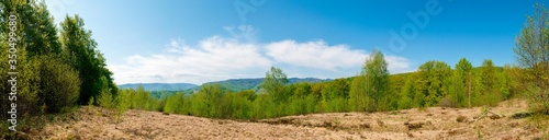 Beautiful rural summer landscape with forest  blue sky and white clouds  panorama. spring landscape with panoramic views of meadow and mountains