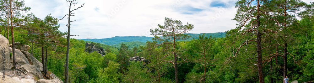 Photo of beautiful green forests. Spruces and trail in the forest. Summer mountain background. Park near the rocks in the forest Photo of beautiful green forests. Spruces and trail in the forest. Summer mountain background. Park near the rocks in the forest