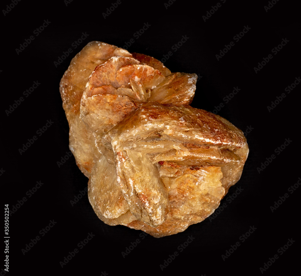 Desert rock rose mineral isolated dark background. Geology mineralogy magazines websites articles, collection catalogs, stone encyclopedia, education books, Natural Science museum posters wall charts